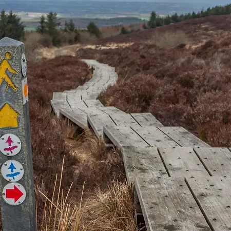 The Forum - - Church