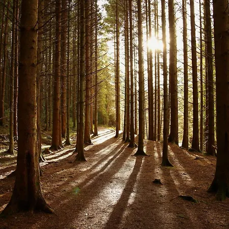 旅馆 The Forum - - Church