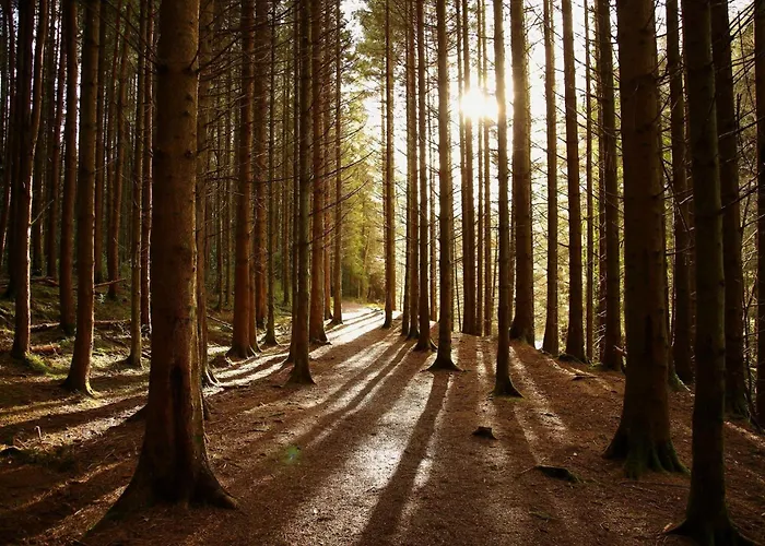 Хостел The Forum-Mountmellick - Stunning Renovated Church